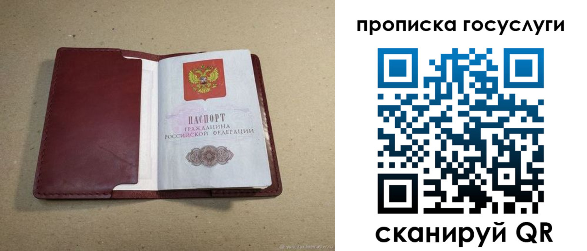 прописка поиск в Богучаре